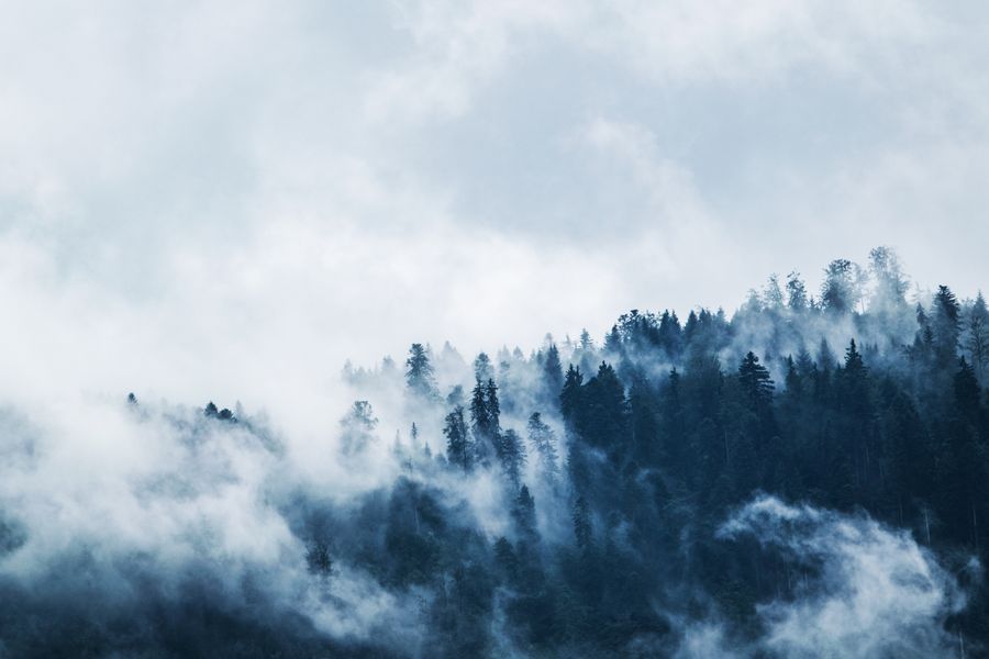 Fog drifting through a forested ridge under a pale sky